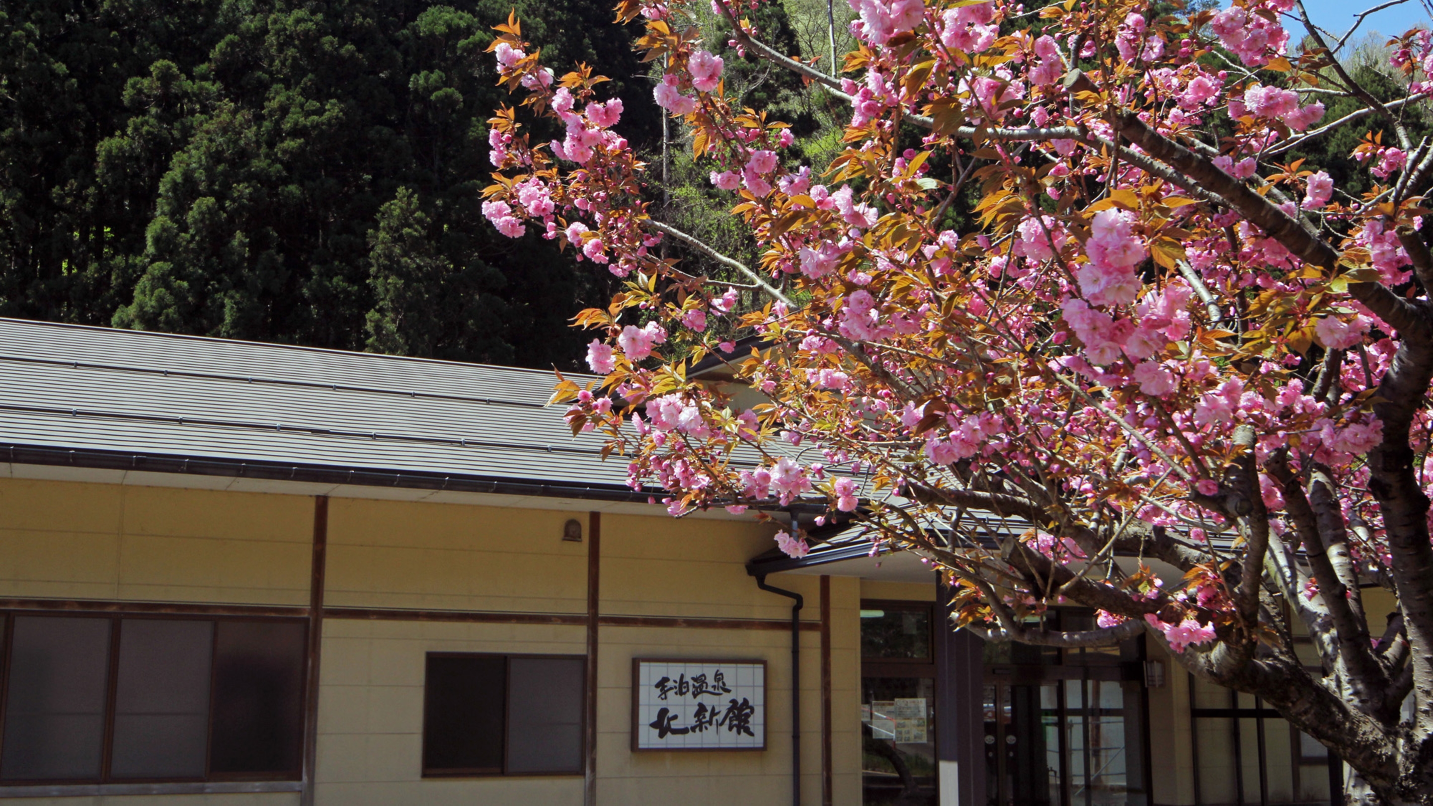 寺泊温泉 北新館 16