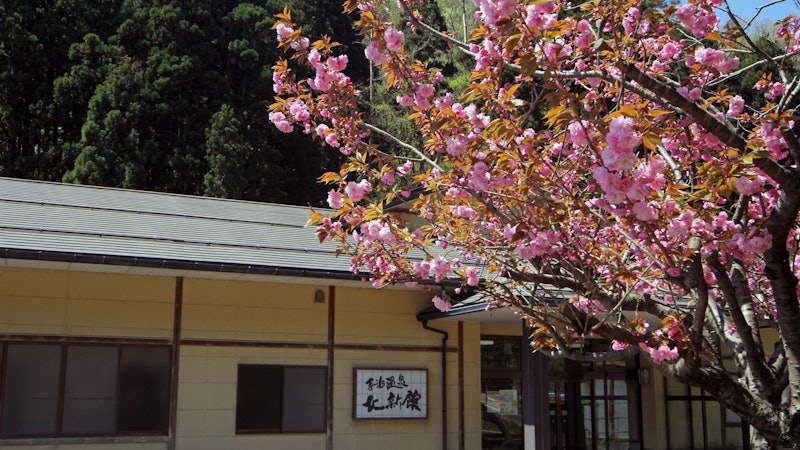 寺泊温泉 北新館 16