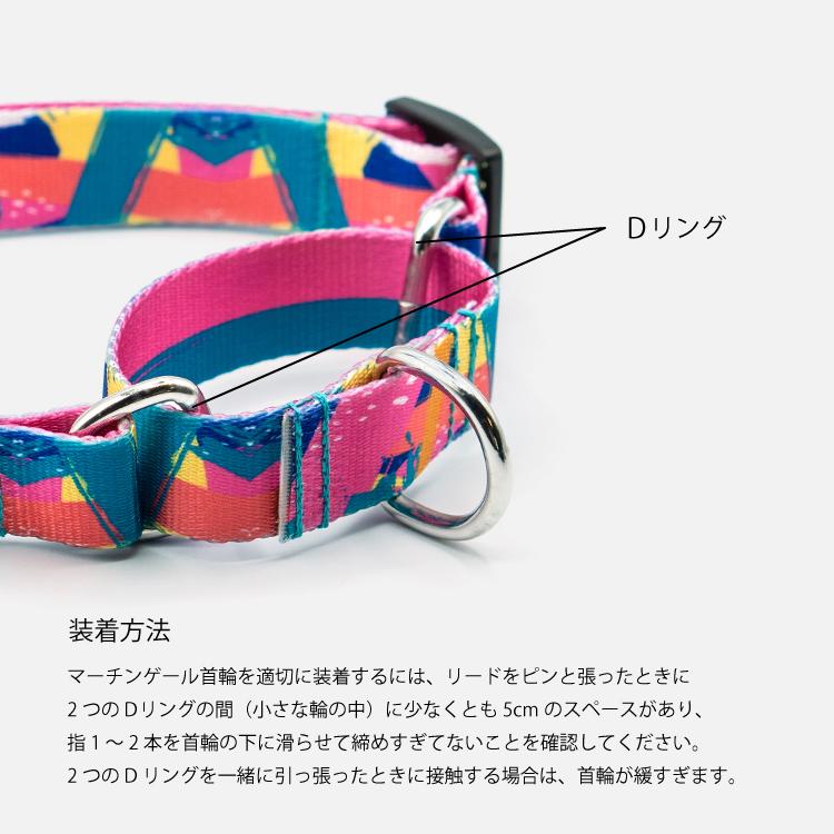 犬用マーチンゲールカラー 7
