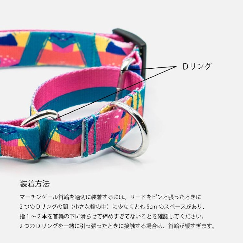 犬用マーチンゲールカラー 7