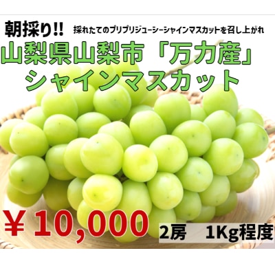さとふるのふるさと納税返礼品のおすすめ人気ランキング 3