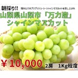 さとふるのふるさと納税返礼品のおすすめ人気ランキング 3