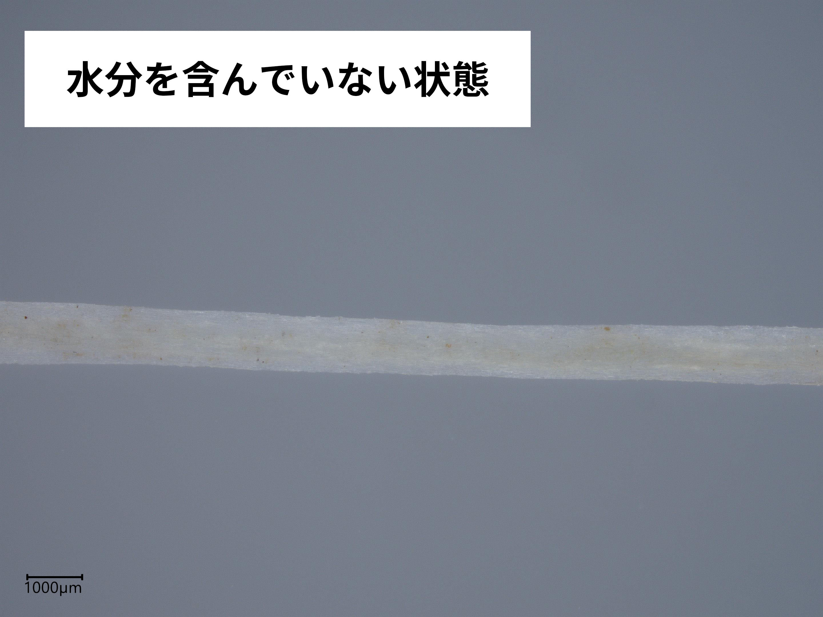 デンタルフロス プロポリテラ 3