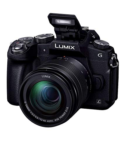 Panasonic LUMIX ミラーレスカメラ 4K Panasonic（パナソニック） ミラーレス一眼カメラ LUMIX G99II