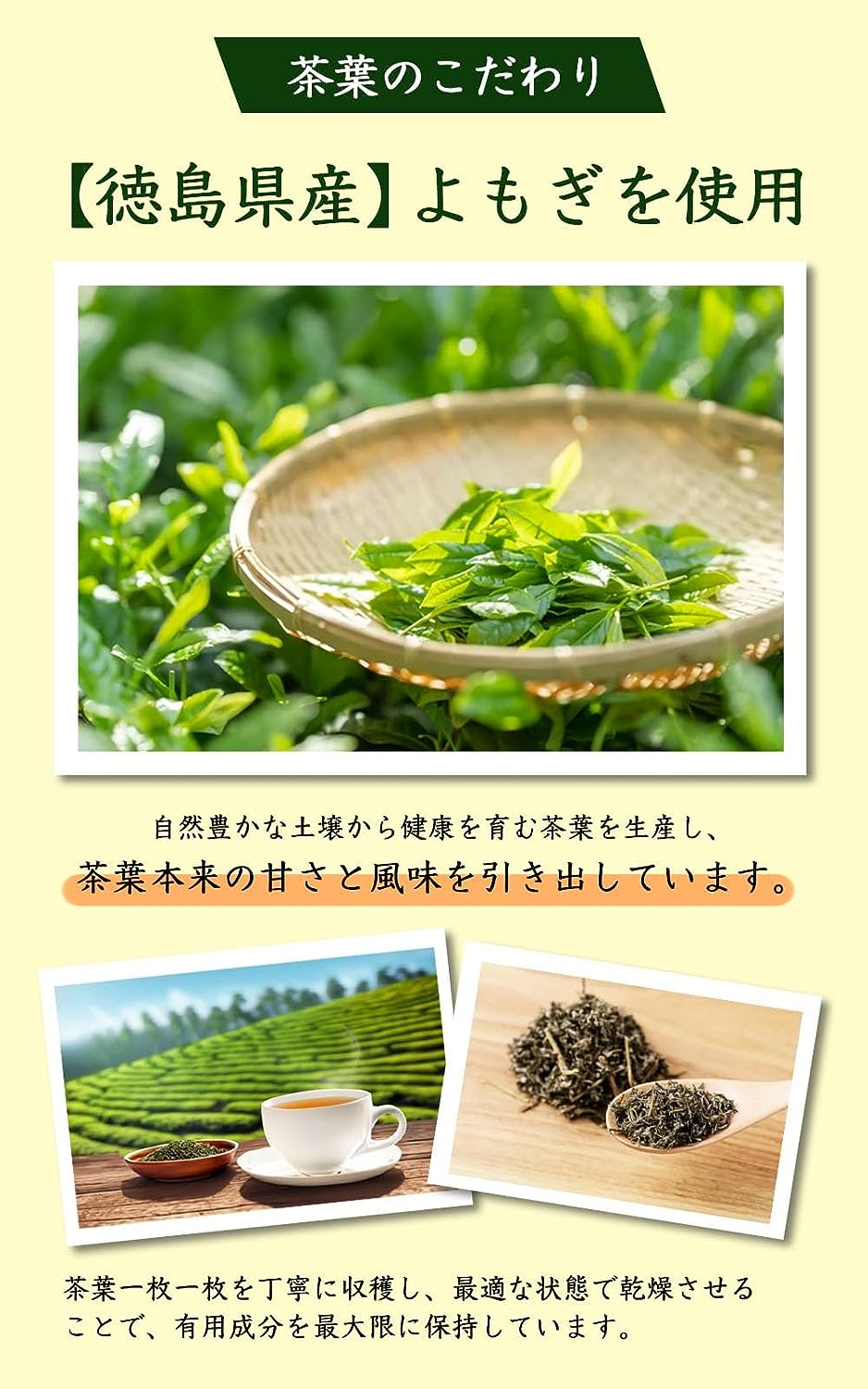 よもぎ茶  3