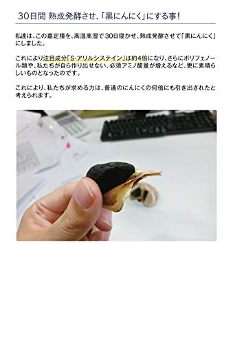 ミルク牡蠣サプリメント にんにく強化 6