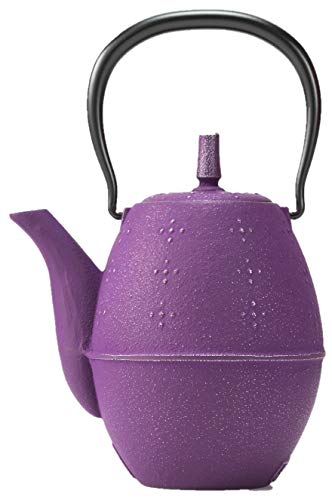 南部鉄器の急須のおすすめ人気ランキング【2025年12月】 | マイベスト