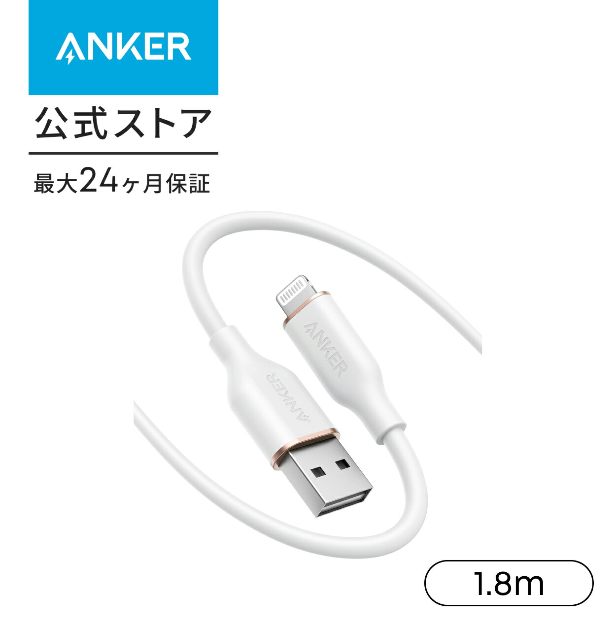 ライトニングケーブル 1
