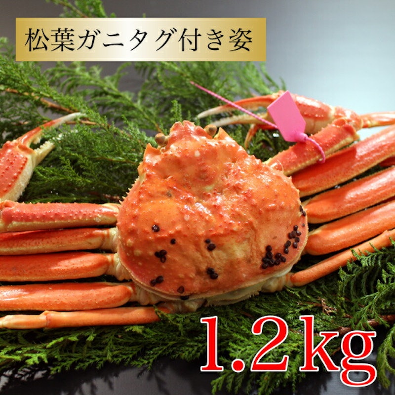 松葉ガニタグ付き 1