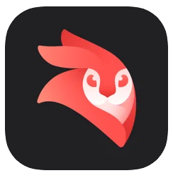 Videoleap 1