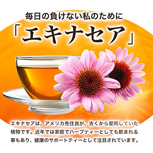 エキナセア 3