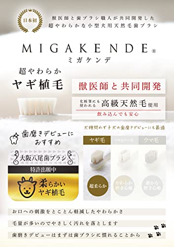 柔らかい天然毛歯ブラシ 2