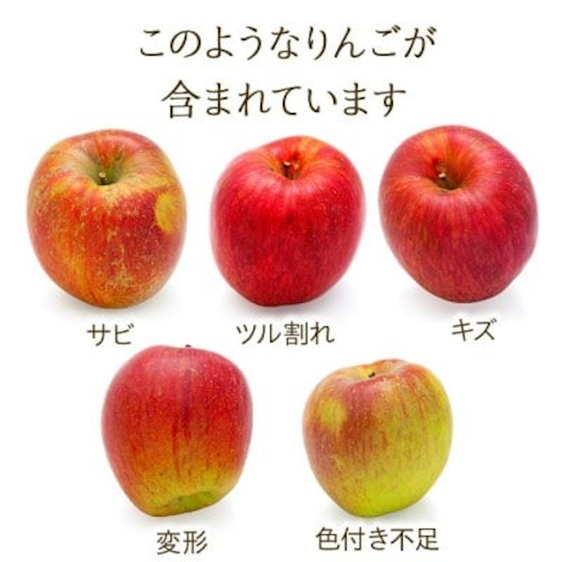 訳あり 信州のりんご 秋映 4