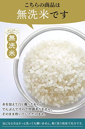 長野県産 つきあかり 無洗米 2