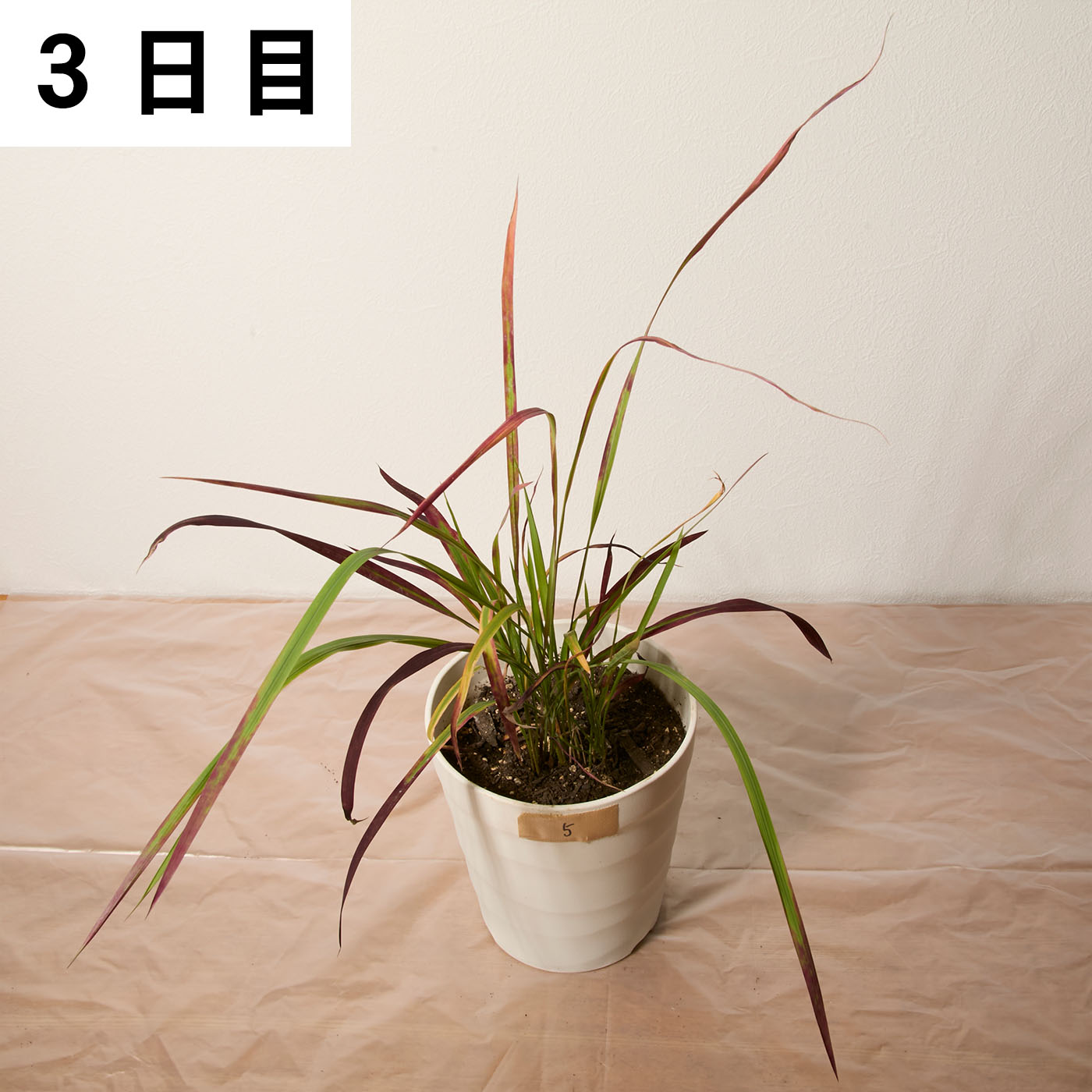 一刀両断 15