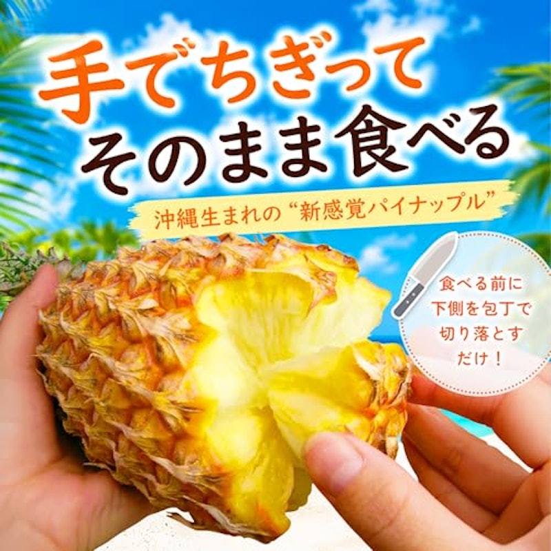 スナックパイン 2