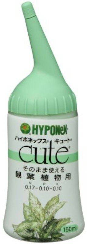 観葉植物用 1