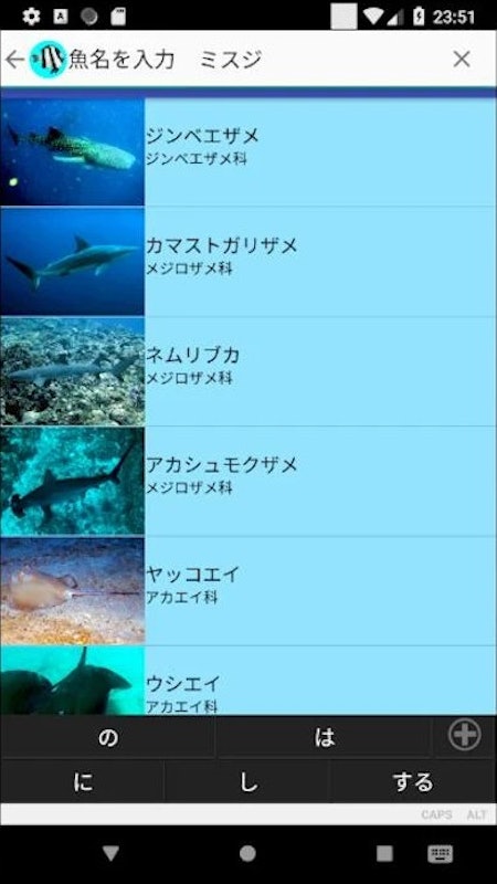 沖縄の魚図鑑 3