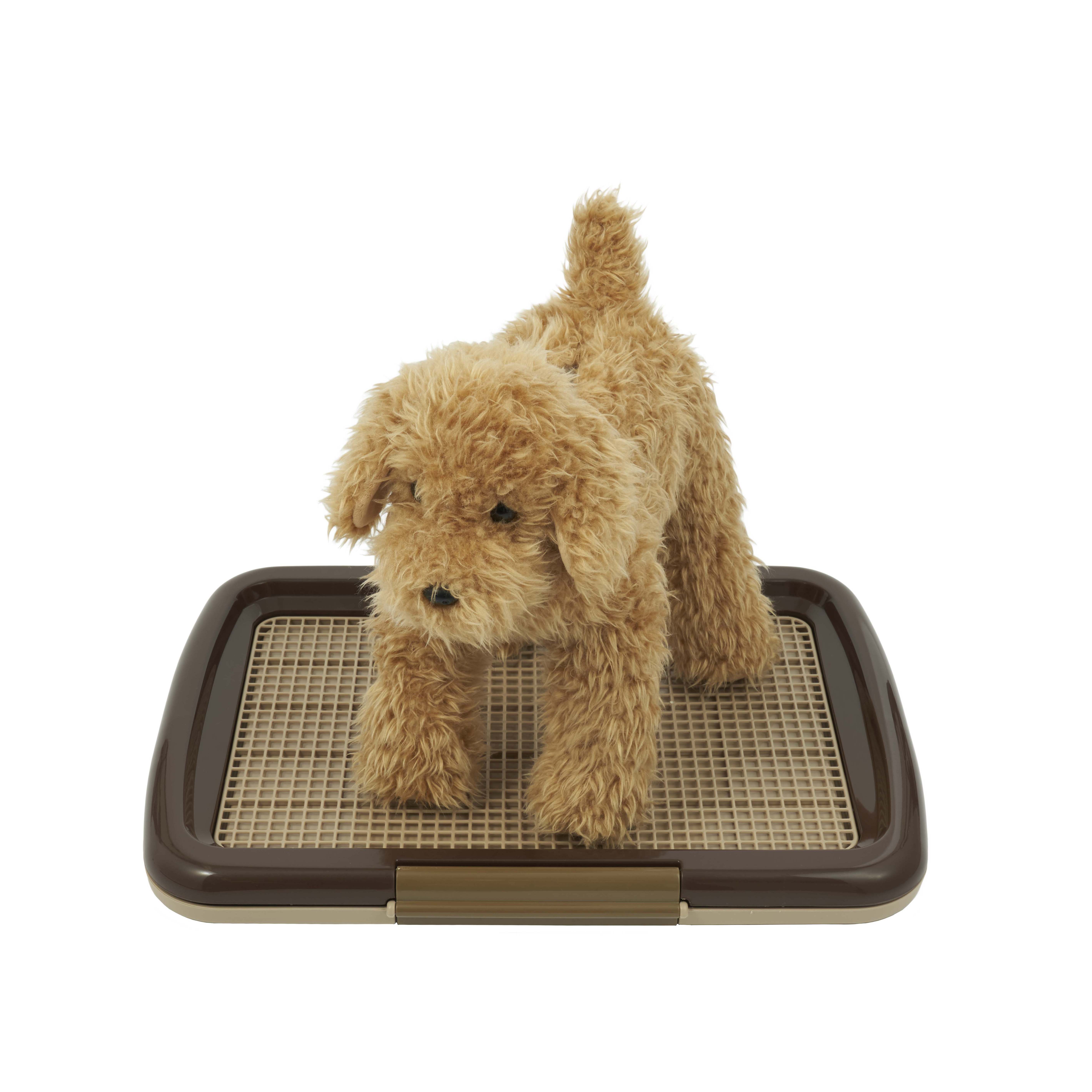 ペット用トイレ（小型犬用）　　実用新案登録　第3243494号 ペット用トイレ（小型犬用） 実用新案登録 第3243494号 ペット用トイレ