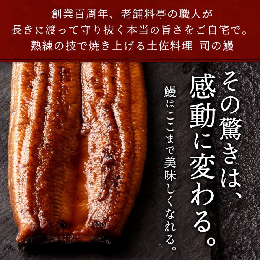 ギフト 高知県産 うなぎ 天の鰻 2