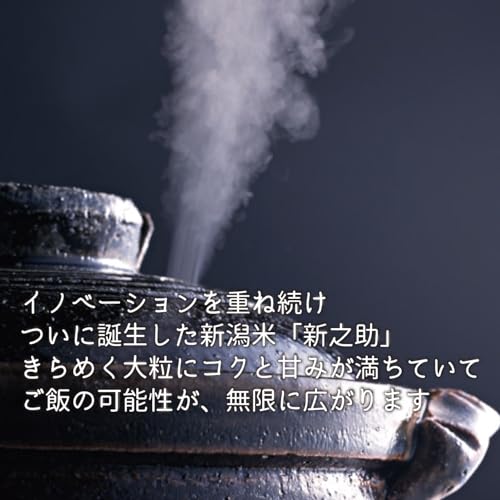新之助 3