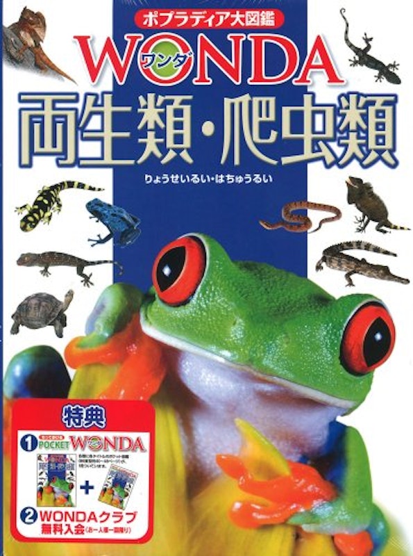 両生類・爬虫類 1
