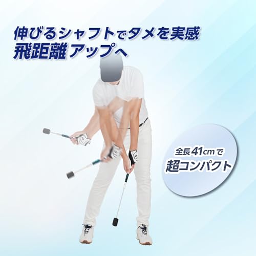 ダイヤスイングCS 2