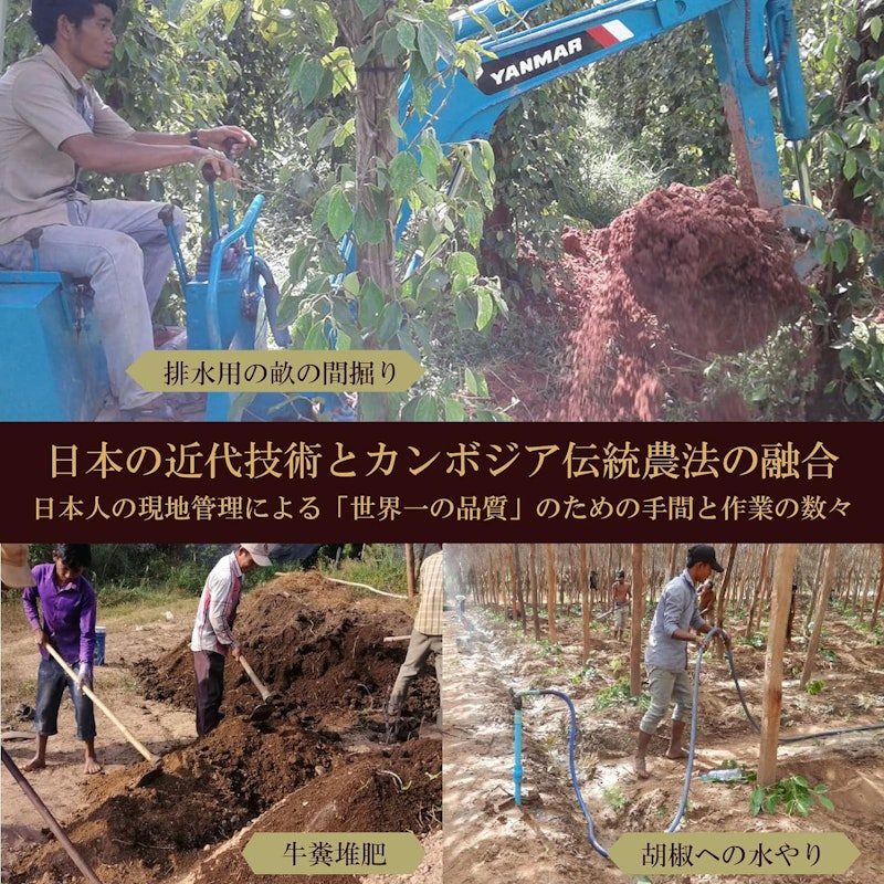 塩漬け生胡椒 極 5