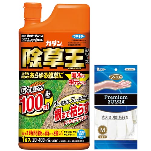 ザッソージエース 1