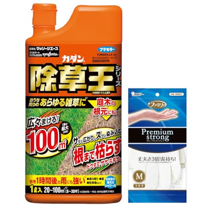 ザッソージエース 1