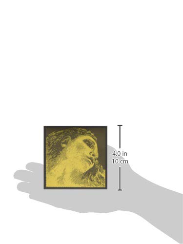 EVAH PIRAZZI GOLD 4