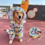 柴犬用レインコートのおすすめ人気ランキング【2026年8月】 4