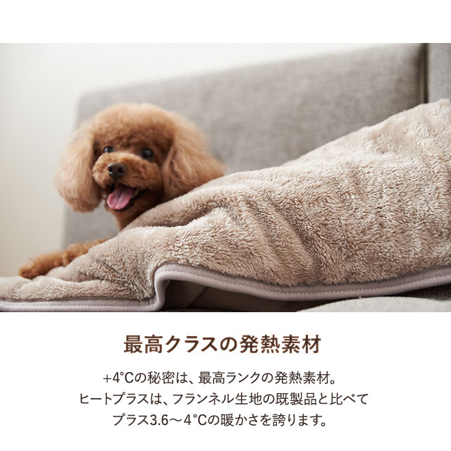 ペット用 わた入り2枚合わせ毛布 3