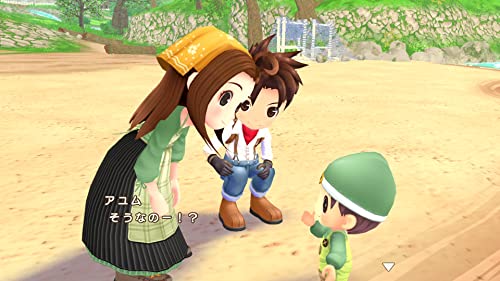 牧場物語 Welcome！ワンダフルライフ 3
