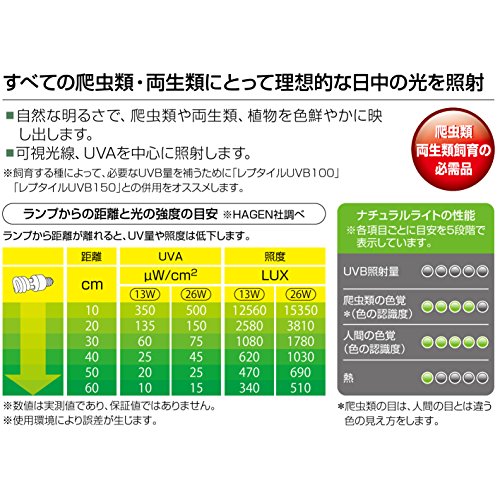 ナチュラルライト  3