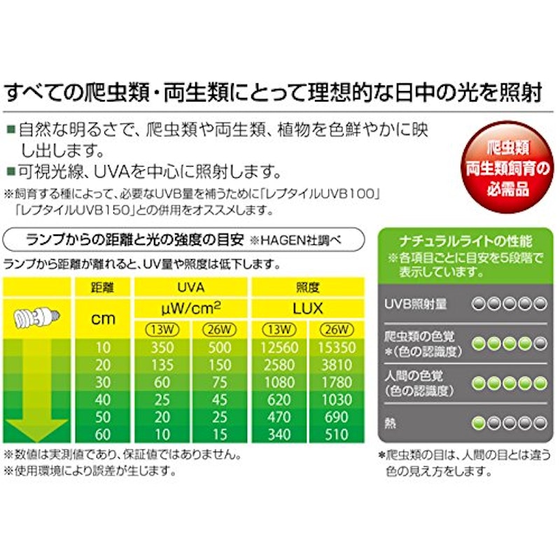 ナチュラルライト 3
