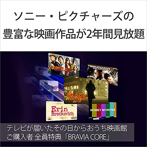 BRAVIA 4K液晶テレビ  6