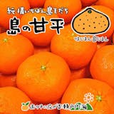 みかん5kgのおすすめ人気ランキング【2026年8月】 5