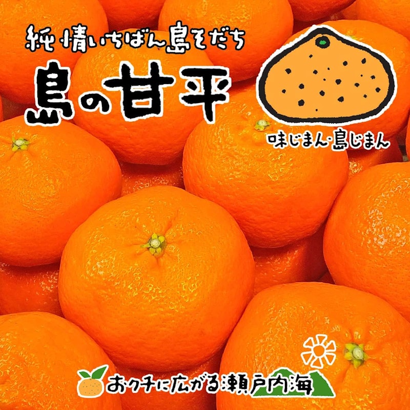 愛媛県産 みかん 甘平 1