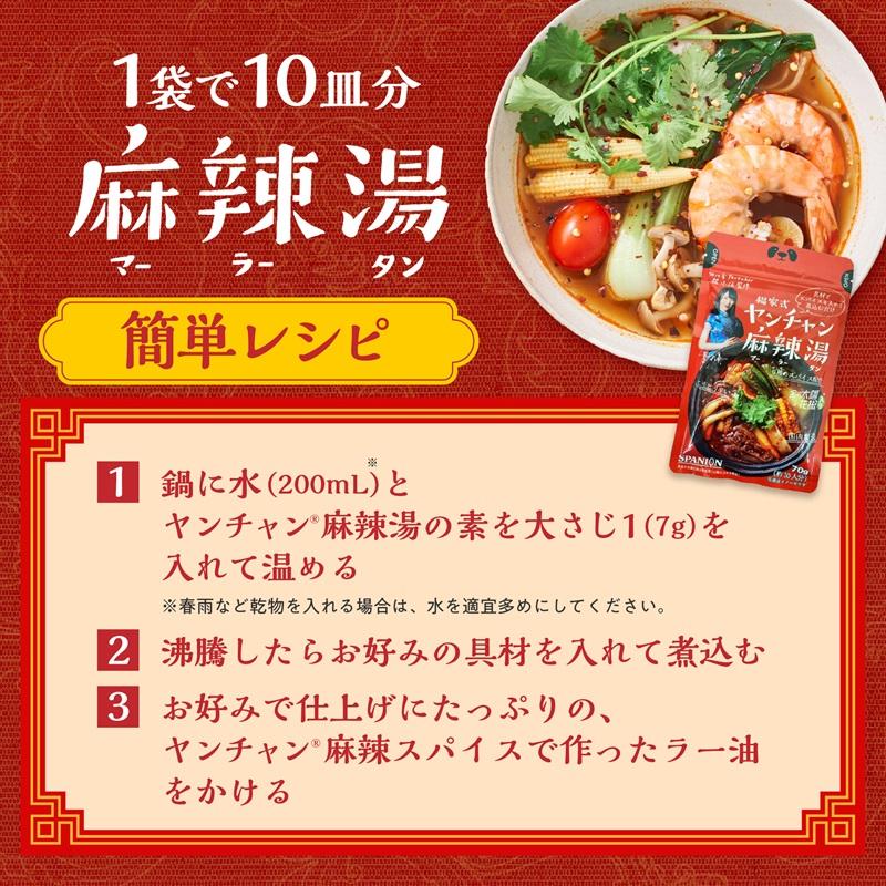 SPANION　楊家式ヤンチャン麻辣湯の素 2