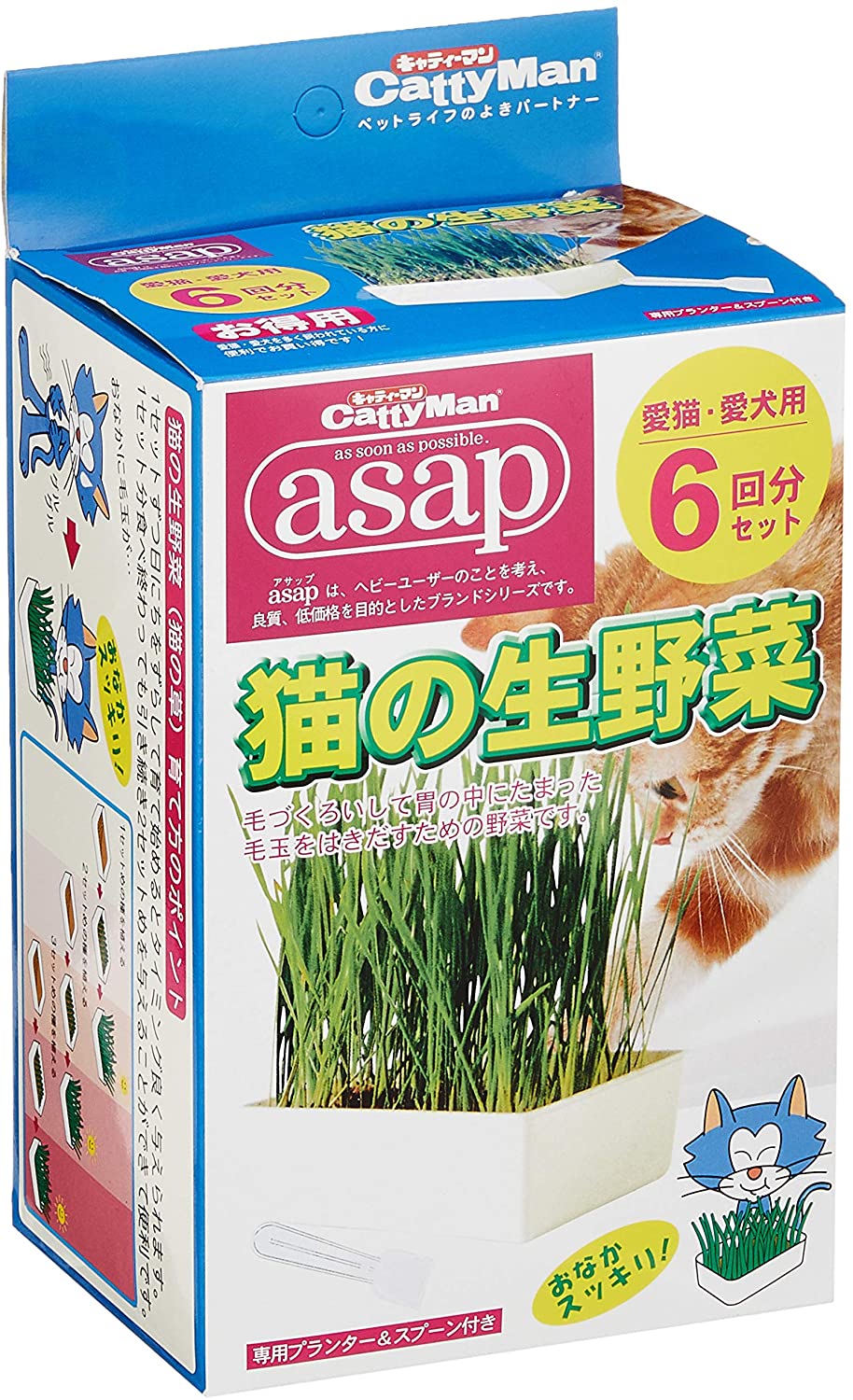 スーパーセール 猫草 ネコ草 エン麦 えんむぎ 80g 種 国産s 毛玉ケア 緑肥a 猫草 ネコ草 エン麦 毛玉ケア えんむぎ 80g 種 国産 猫 緑肥