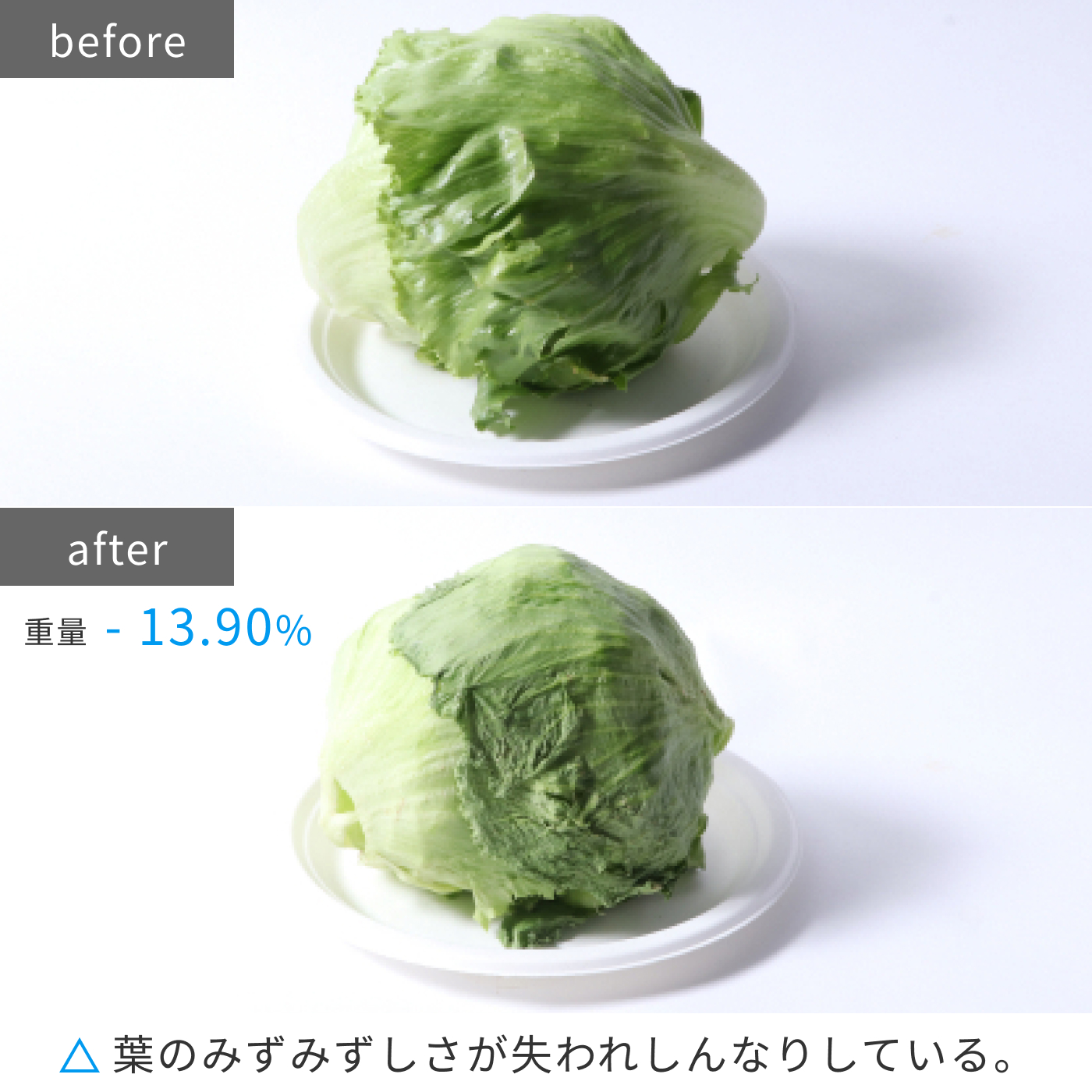 冷凍冷蔵庫 17