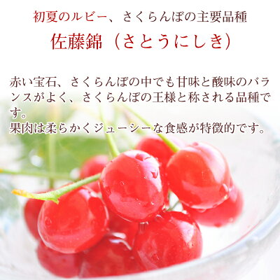 佐藤錦 特秀品 L以上 2