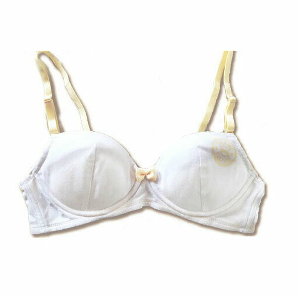 21年 高校生向けブラジャーのおすすめ人気ランキング10選 Mybest