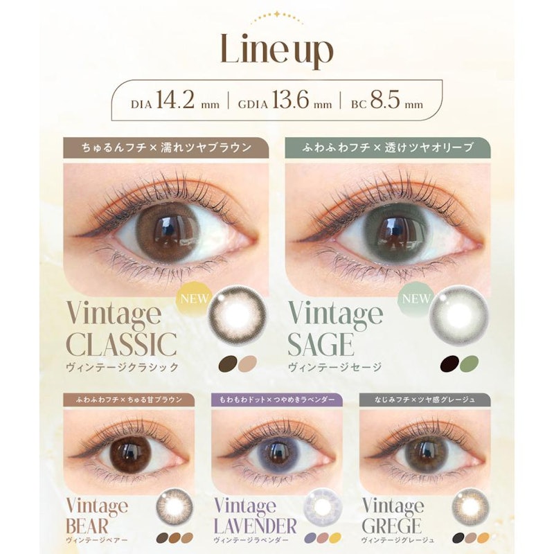 ワンデーカラコン Vintage GREGE 3