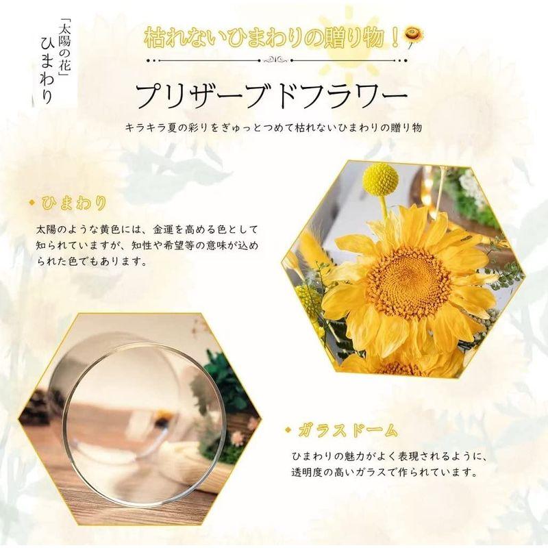 ひまわりのプリザーブドフラワーのおすすめ人気ランキング【2026年1月