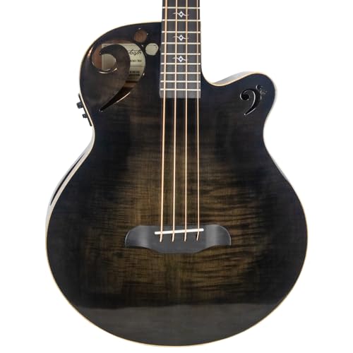 ACOUSTIC ELECTRIC BASS Designed with Rudy Sarzo 1