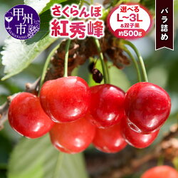 さくらんぼ童夢の紅秀峰 バラ詰め 1