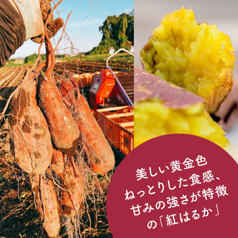 丸干し 干しいも 4