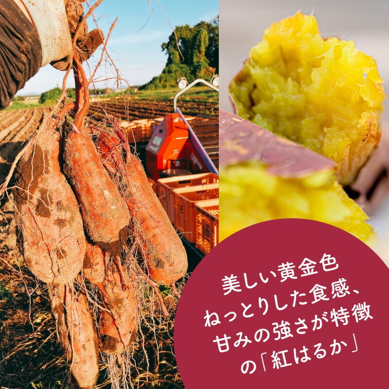 丸干し 干しいも 4